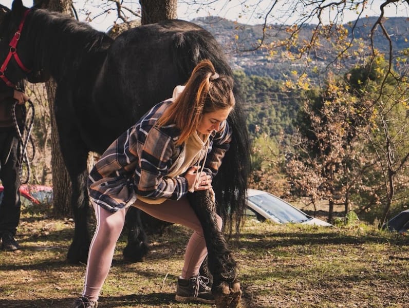 CM ostéopathe animalier - à domicile 06 — photo