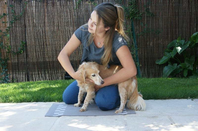 Vanina GENTILI - Ostéopathe animalier — photo