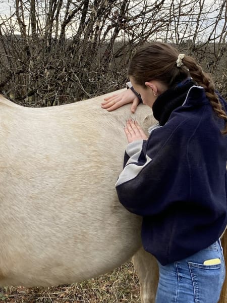 Nina BAPICOT - Ostéopathe pour Animaux — photo
