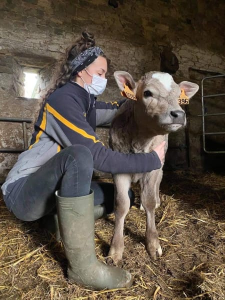 Nina BAPICOT - Ostéopathe pour Animaux — photo