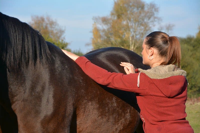 Agnès Beaufils - Ostéopathe pour animaux et Vétérinaire sur Nantes et sa région — photo