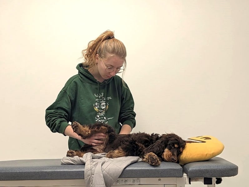 Ostéopathe animalière - Julie Wolff — photo