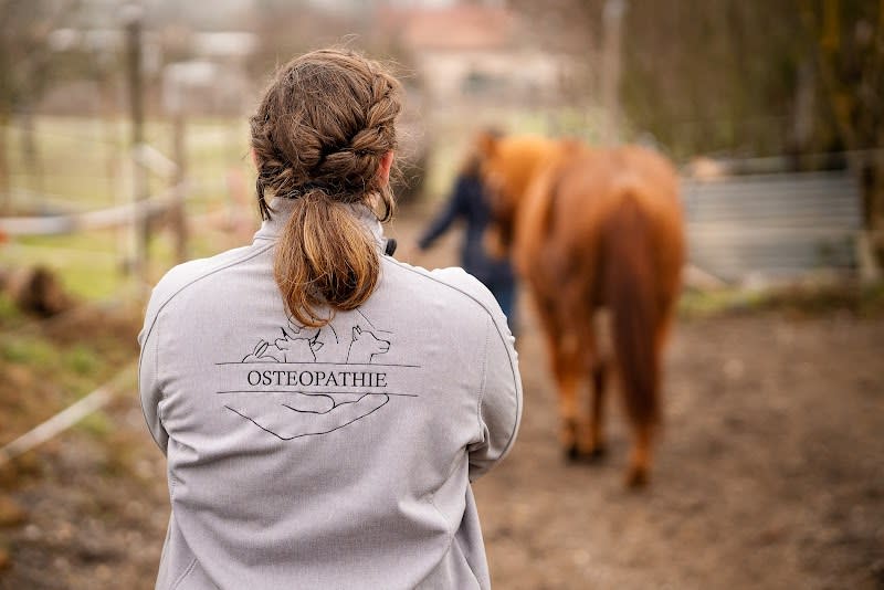 Jost Lara - Ostéopathe Animalier — photo
