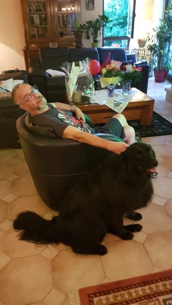 Du temps pour mon Chien - Osteo Energétique et Massage Canin — photo