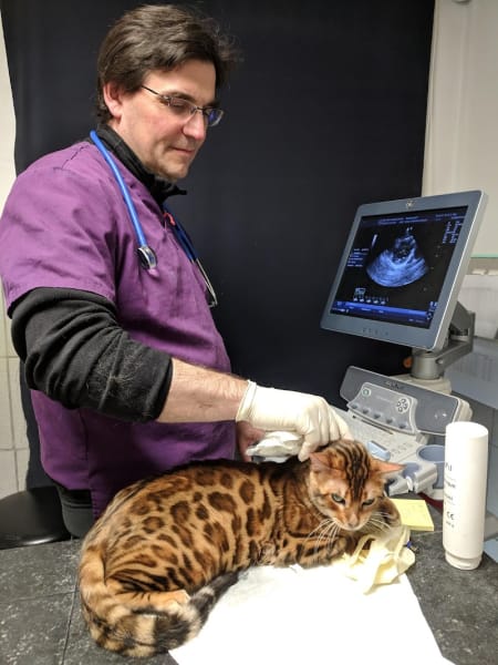 Clinique vétérinaire de l'Aiguelongue — photo