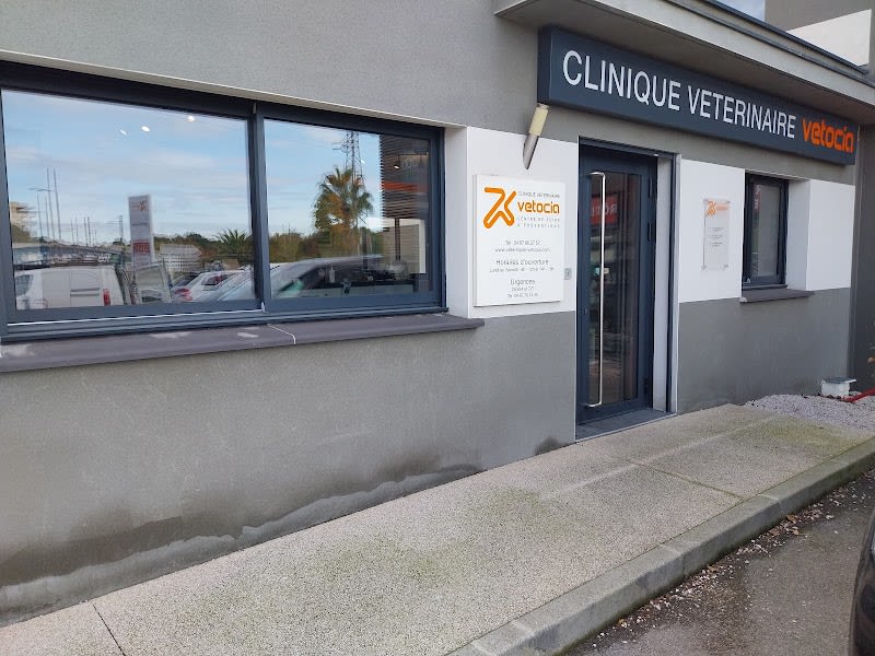 Clinique Vétérinaire VETOCIA Castelnau — photo