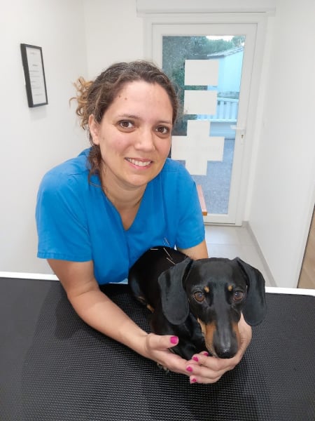 ArmoniVET- Dr VETERINAIRE Laure Guinard-OSTÉOPATHIE/ACUPUNCTURE/PHYTOTHÉRAPIE — photo