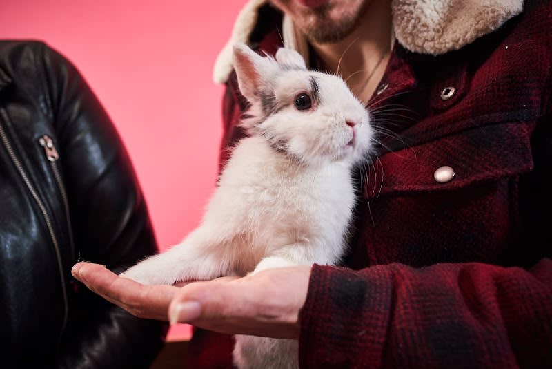 Marie Thébault - Ostéopathe pour animaux — photo