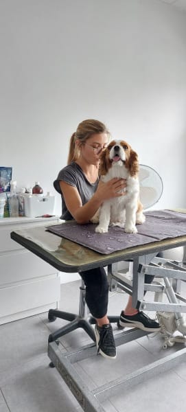 Jeanne Thoulouze bien-être animal — photo