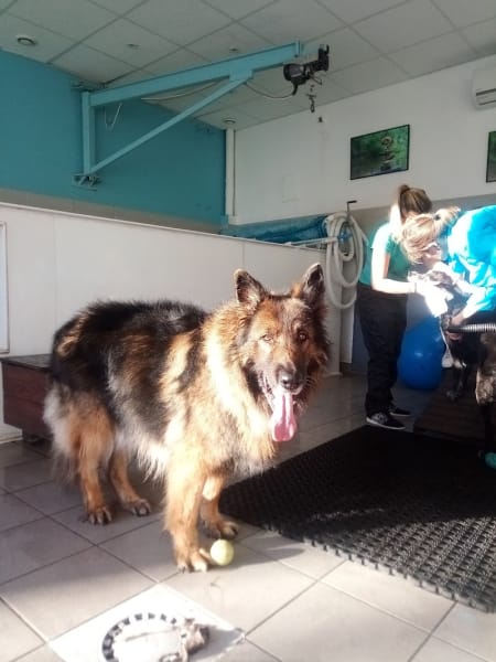Aquanimaux — photo