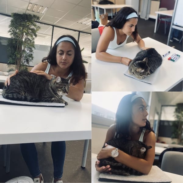 Elodie Charani - Ostéopathe Animalier — photo