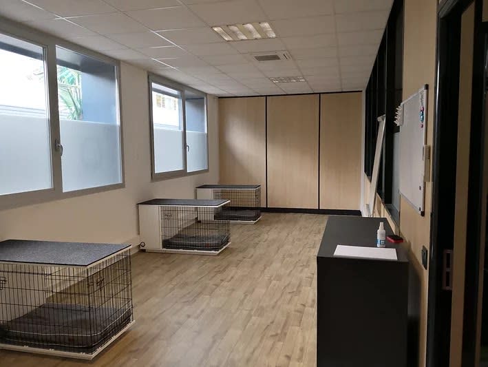 IOA Institut Ostéopathique Animalier — photo