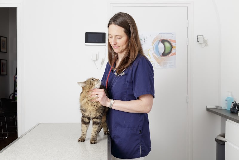 Vet Vision — photo
