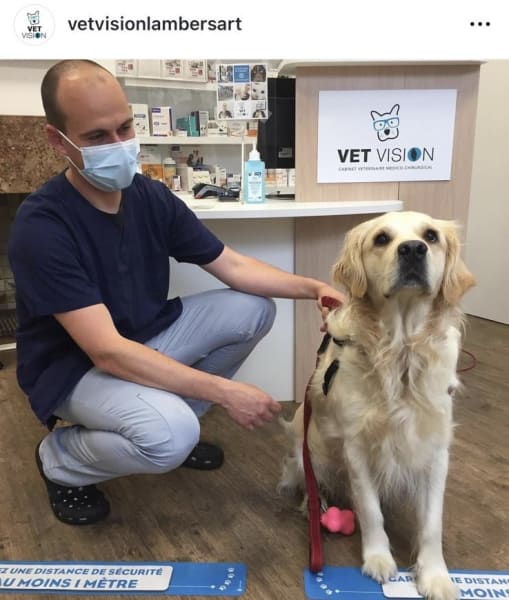 Vet Vision — photo
