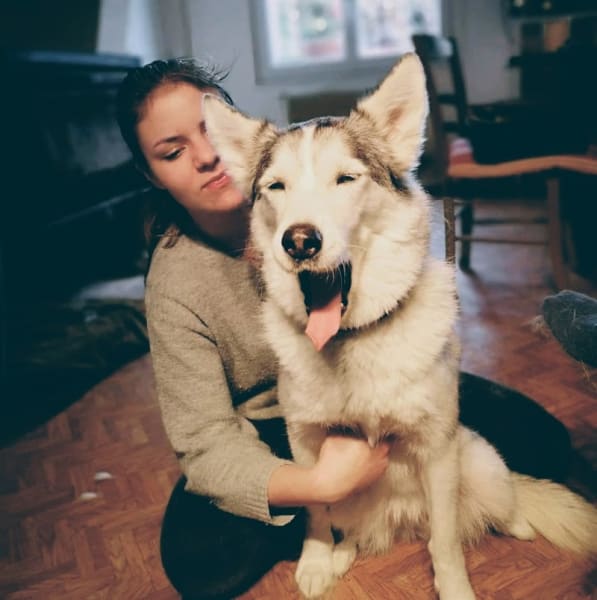 Isaline Diserens - Ostéopathe Animalier (Nord / Pas de Calais / Belgique) - Équin / Bovin / Canin — photo
