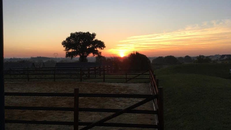 Clinique Veterinaire Des Faluns — photo