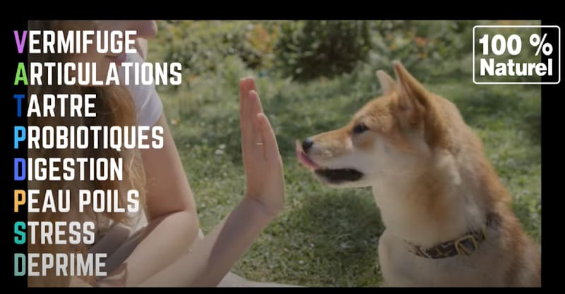 Neoveto - Compléments alimentaires naturels chien - Magasin chien — photo