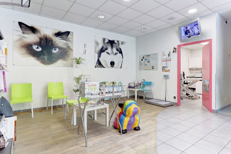 Clinique Vétérinaire Argos Saint-Brice-Courcelles (Dr Cohen) — photo