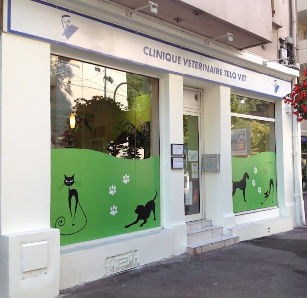 Clinique Vétérinaire Monveto Telo Vet — photo