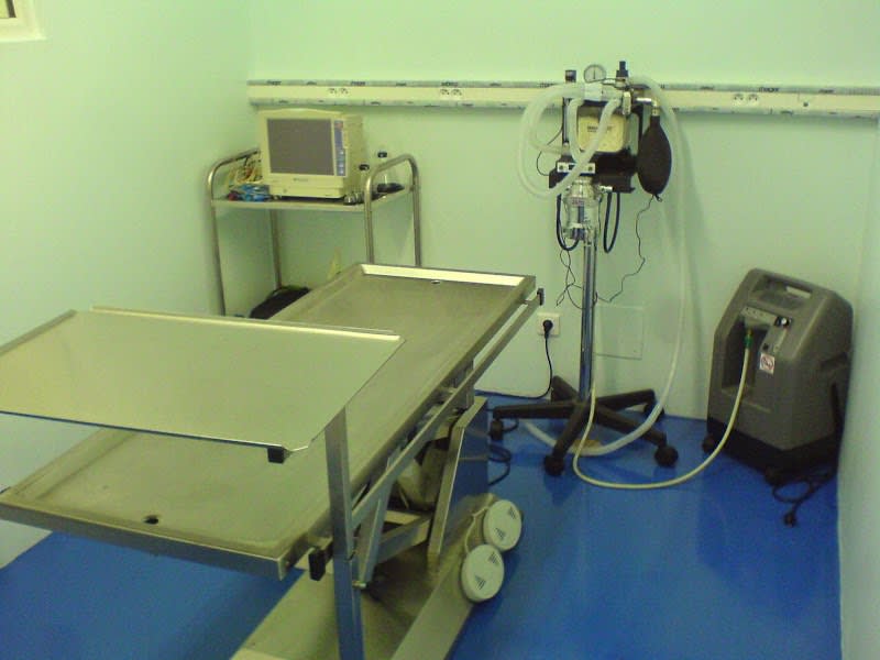 CLINIQUE VETERINAIRE du Dr MAGNE — photo