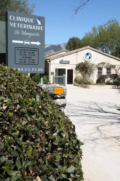 Clinique Vétérinaire Sainte Marguerite — photo