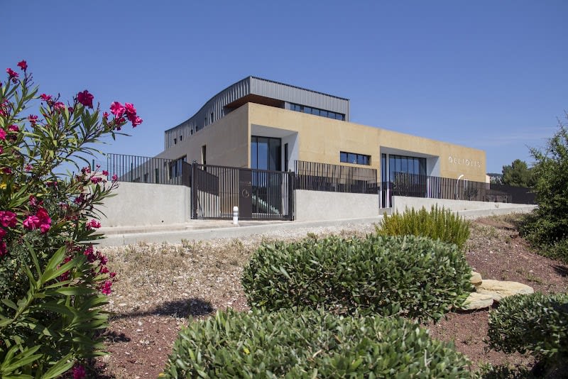 Clinique Vétérinaire Olliolis — photo