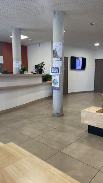 Clinique Vétérinaire Olliolis — photo
