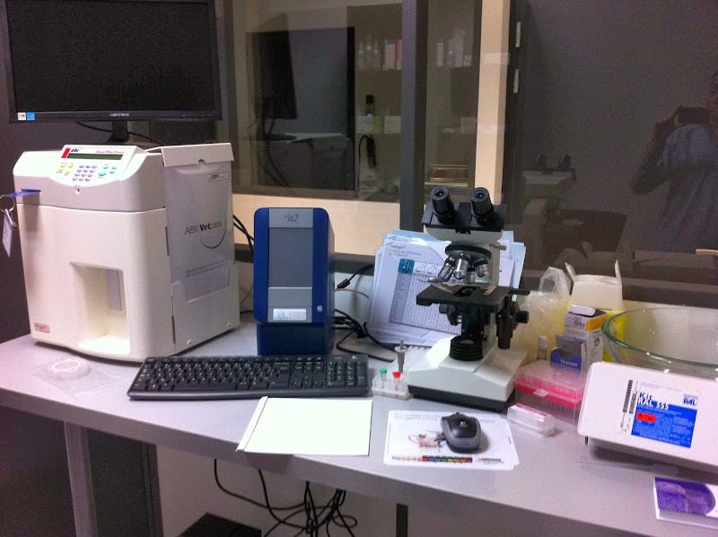 Clinique Vétérinaire Vetwish Dr Bonnevial Ève et Dr Tessier Laura — photo