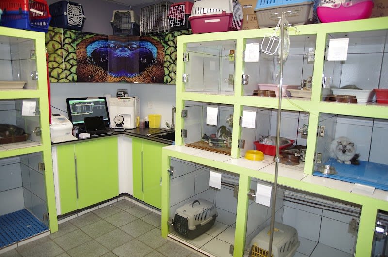 Clinique Vétérinaire Univet de l'Etoile - Dr Mallet et Thony — photo