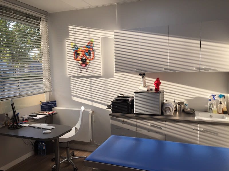 Clinique Vétérinaire du Rondeau Dr Cohen Boulakia — photo