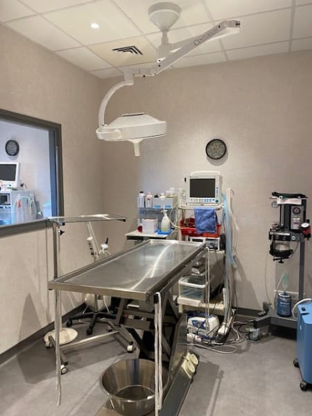 Clinique Vétérinaire d'Ahuy — photo