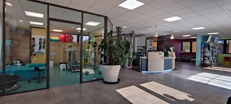 Centre Vétérinaire Kinésia — photo