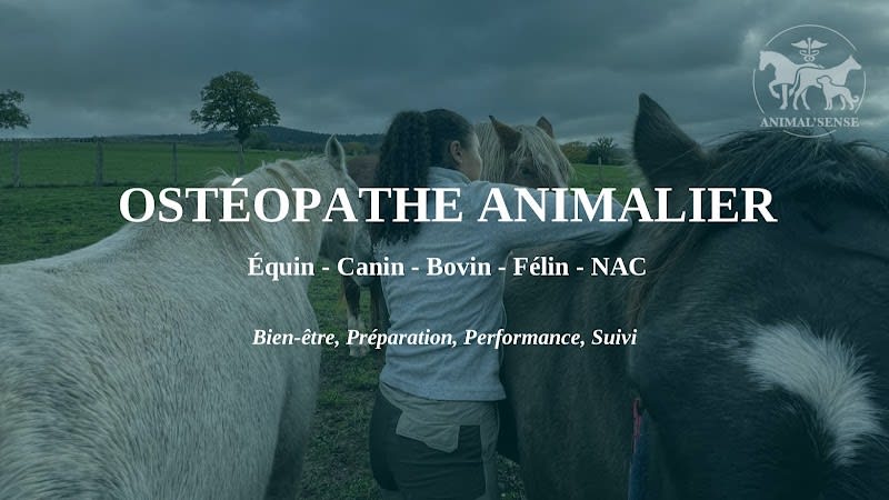 Emma Florentiny - Ostéopathe animalier Dijon - ANIMAL’SENSE — photo