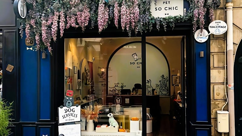 Petsochic - Salon de toilettage & boutique pour animaux — photo