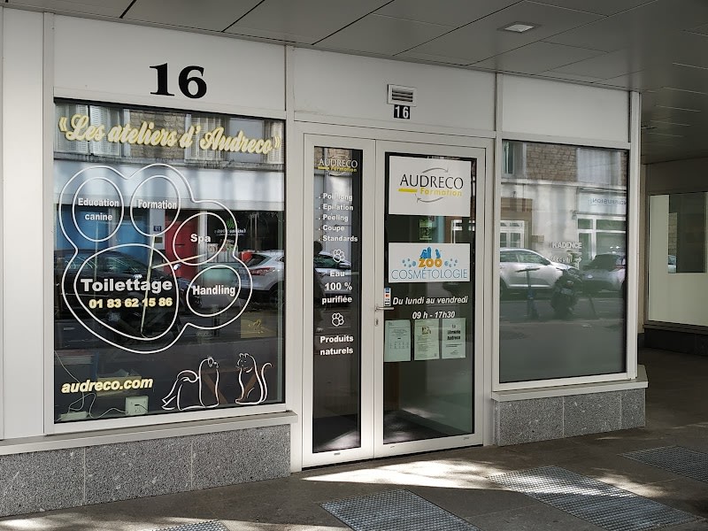 Les Ateliers d'Audreco, toiletteur canin, éducateur canin — photo