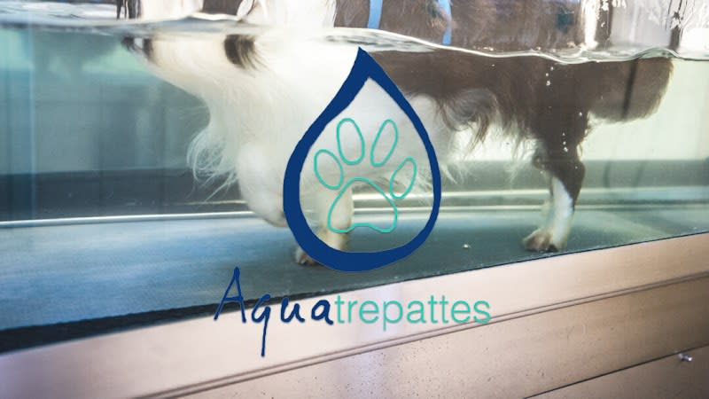 Toilettage, Hydrothérapie et rééducation. Centre Aquatrepattes à Courbevoie — photo