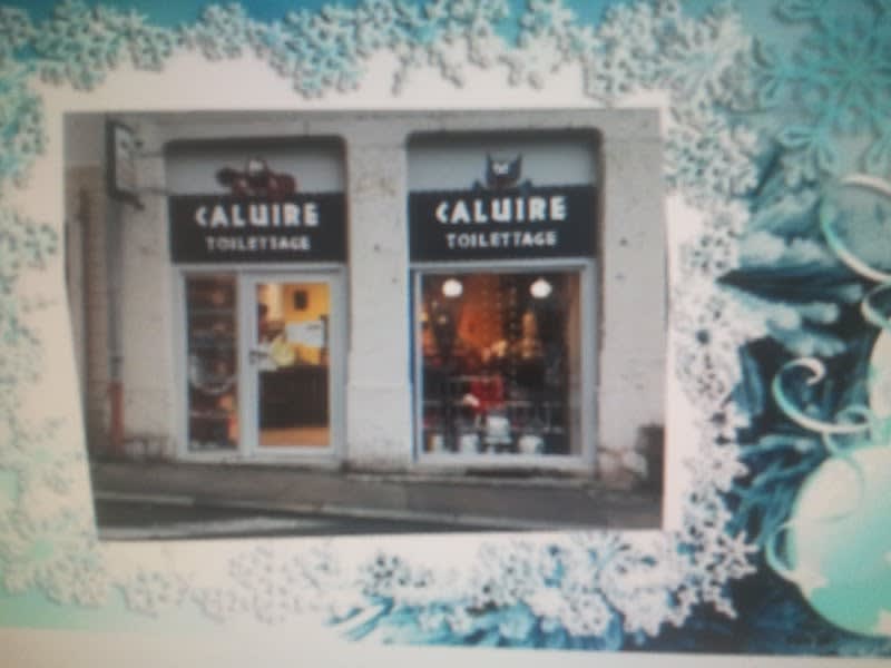 Caluire Toilettage — photo