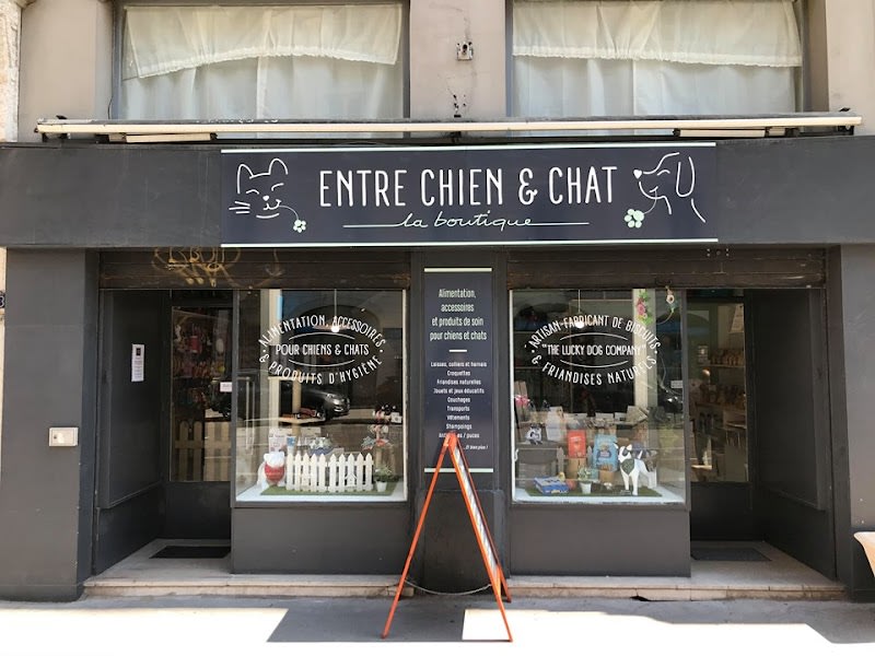 Entre Chien et Chat — photo