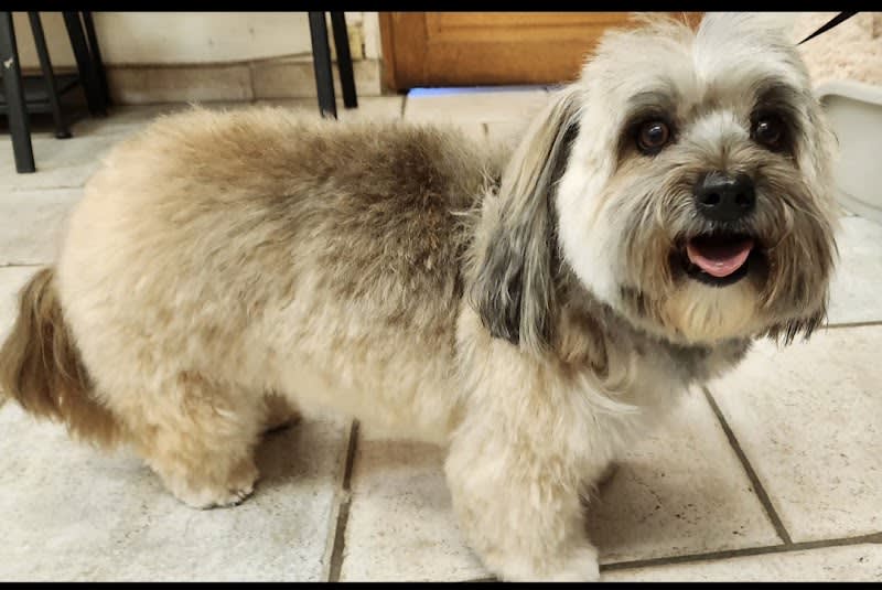 Atout Chien Chat NAC ❤️ Virginie — photo