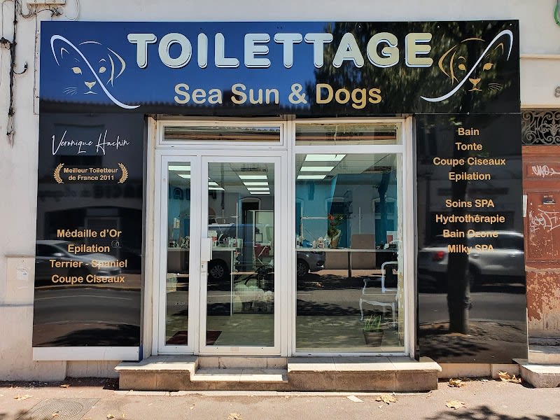 Sea Sun'And Dogs — photo