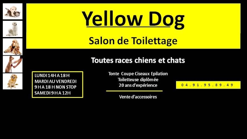 Yellow Dog — photo