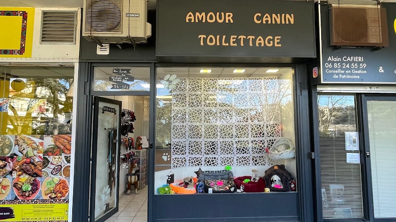 Amour Canin — photo