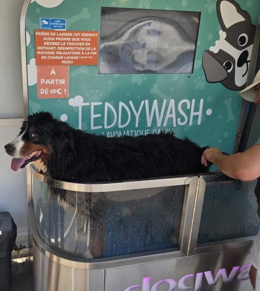 DOGWASH 24h24 Teddy Wash — photo