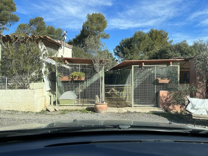 Centre de Défense des Animaux de Marseille et de Provence — photo