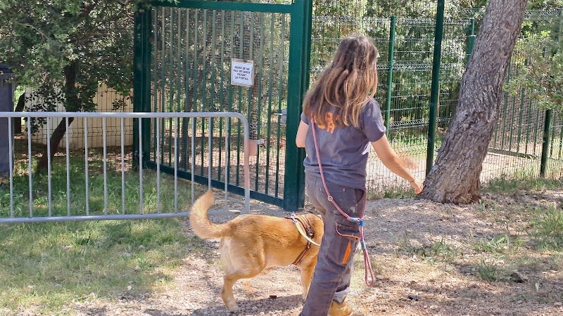 La Société Protectrice des Animaux (SPA) - Refuge d'Aix-en-Provence — photo