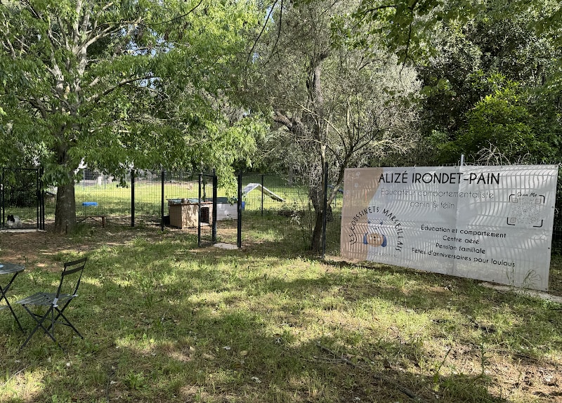 Les Coussinets Marseillais - centre aéré et d'éducation, évènements canins — photo