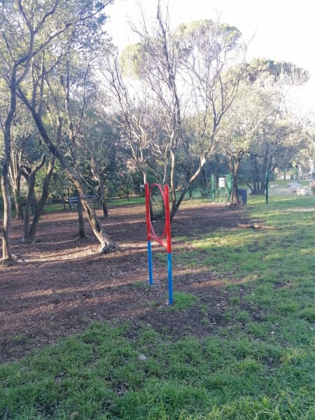 parc à chien — photo