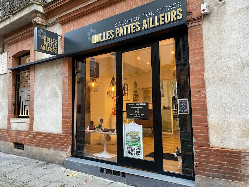 Nulles Pattes Ailleurs — photo