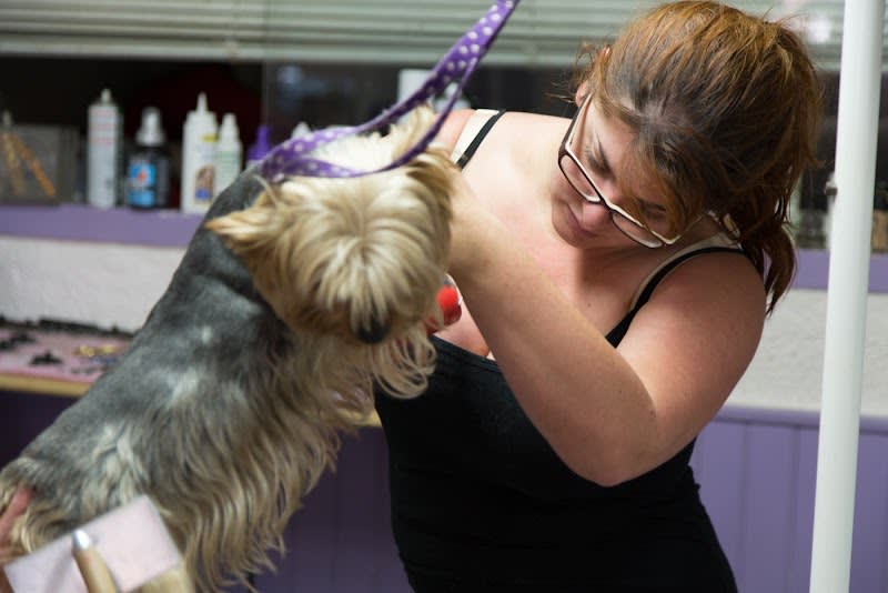 Aux 6 Os d'Or, salon de toilettage chien et chat sur Toulouse — photo
