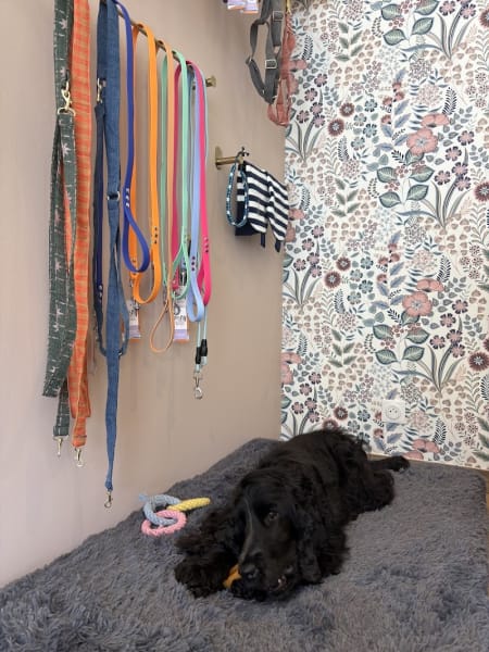 L’atelier d’oky — photo